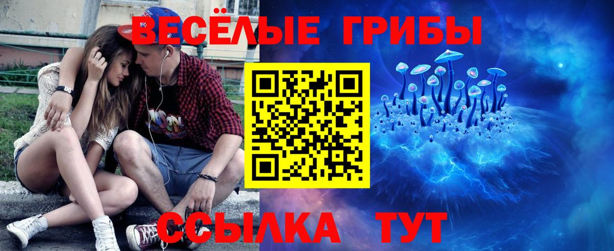 Галлюциногенные грибы Cubensis Звенигород