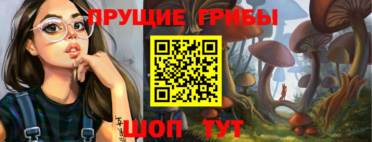 Галлюциногенные грибы Psilocybine cubensis  Вход с VPN  Звенигород 